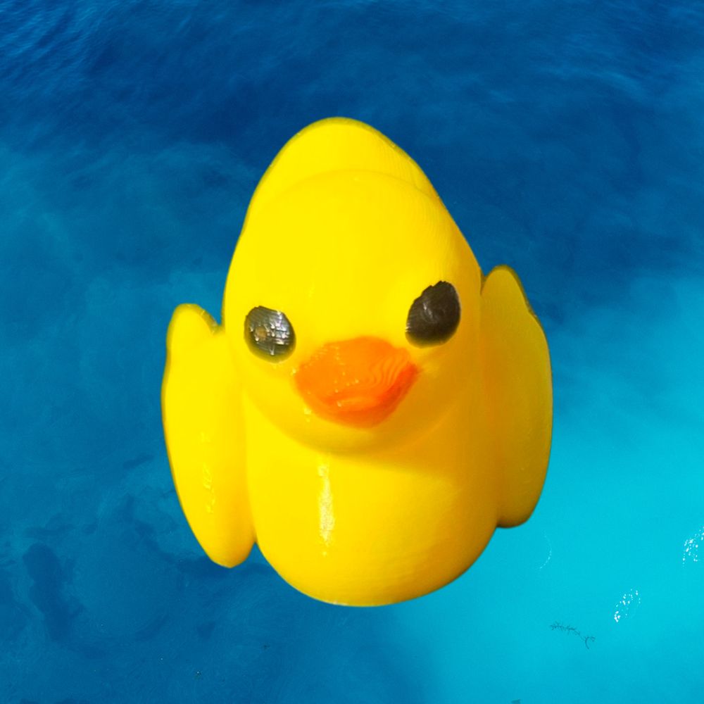 Cute little duck 3D toys. Cheery duck toy. Chaos 3D Printing.