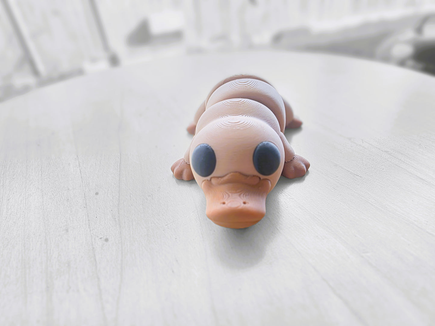 Aussie Platypus 3D Toy