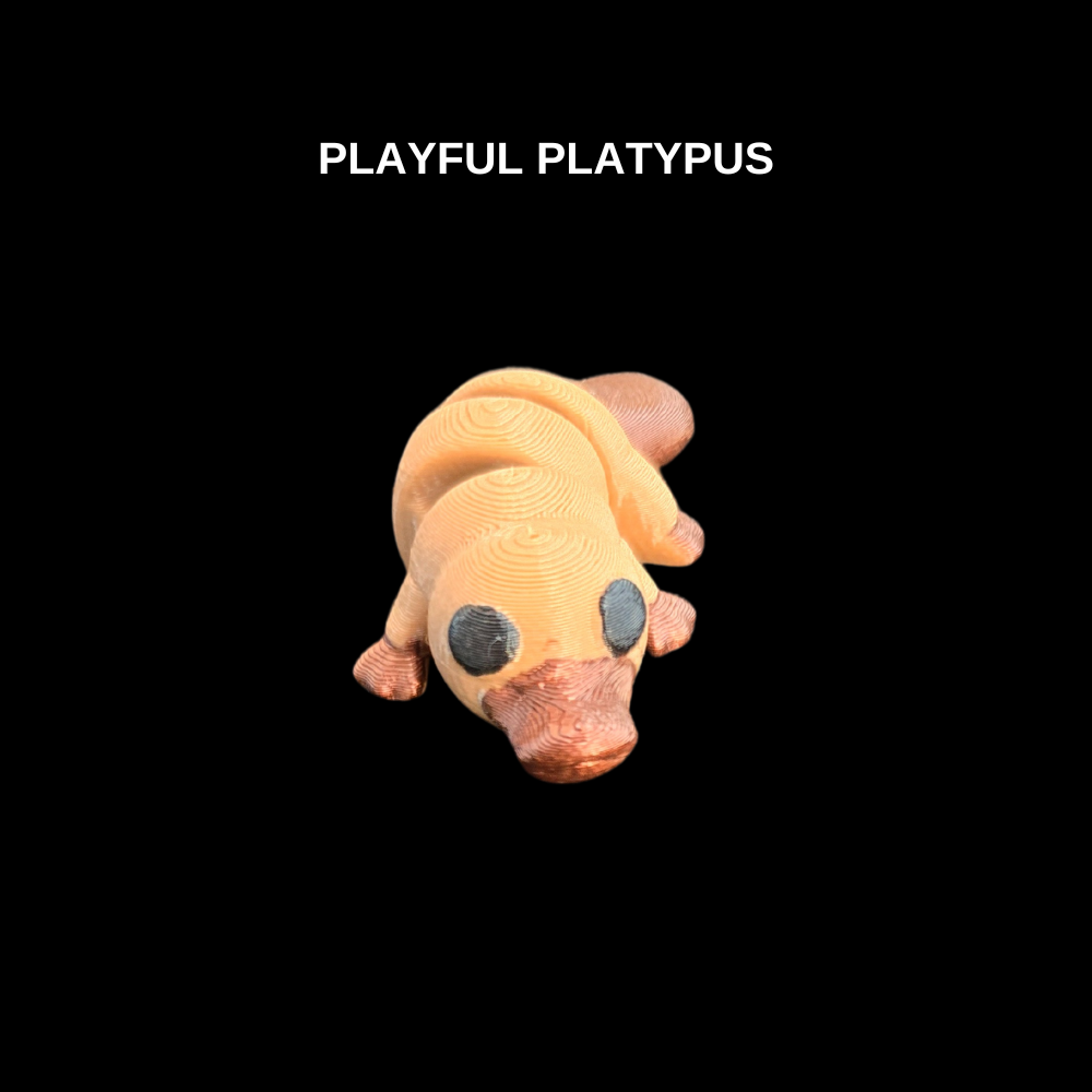 3D printed playful platypus toy. Hard to find platypus toy from Chaos 3D Printing.